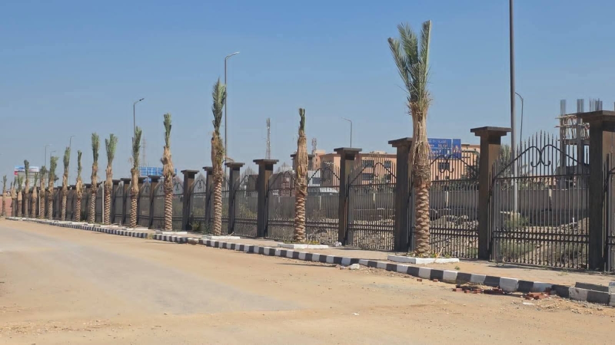 جامعة بنها | مبادرة ١٠٠ مليون شجرة تبدأ من الحرم الجامعي